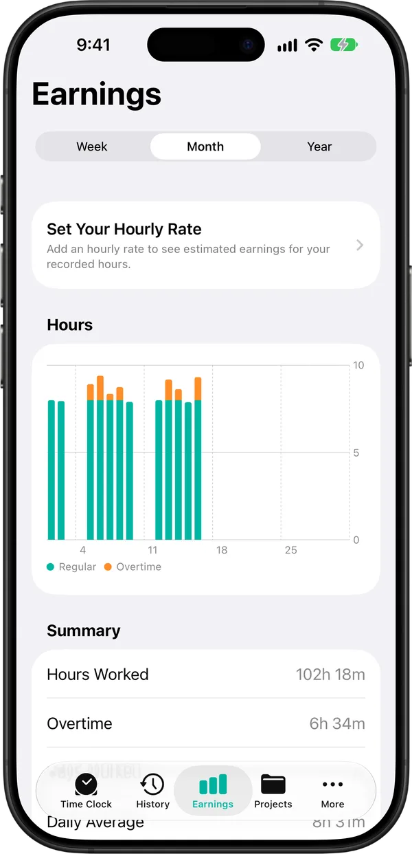 Timesheet earnings chart